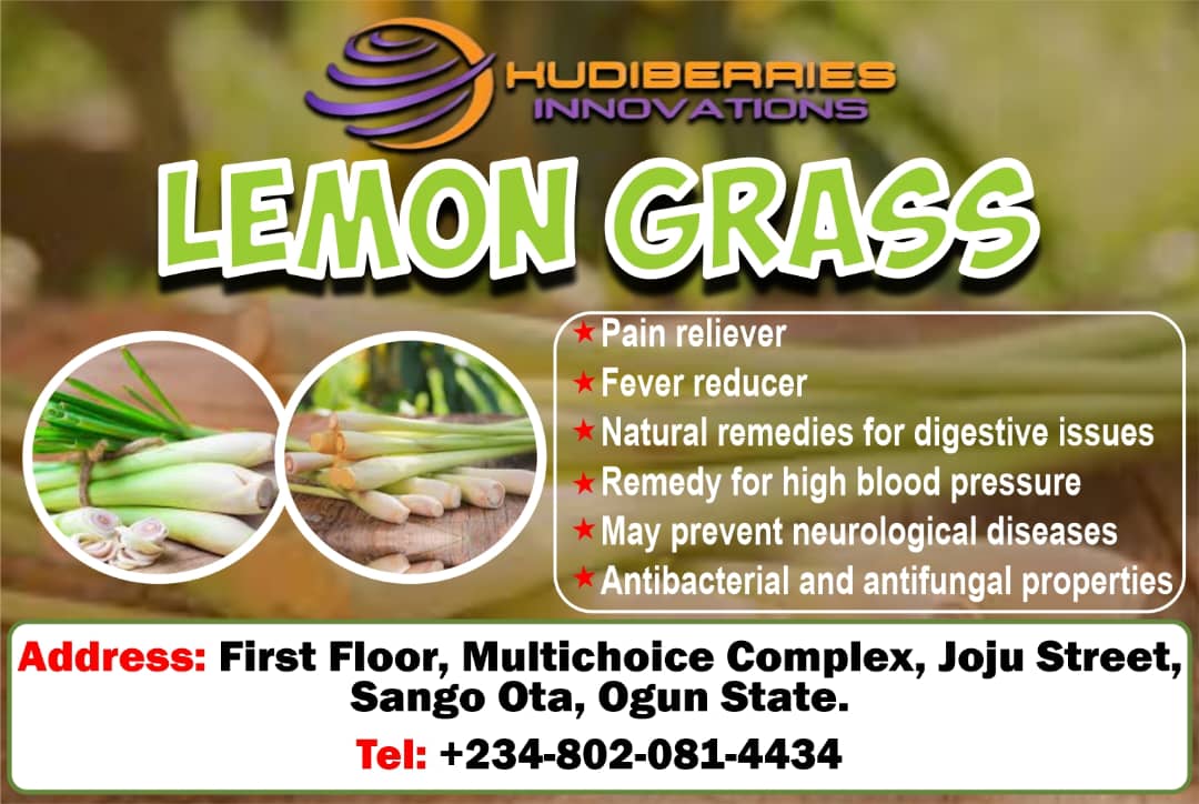 KudiBerries Lemon Grass 