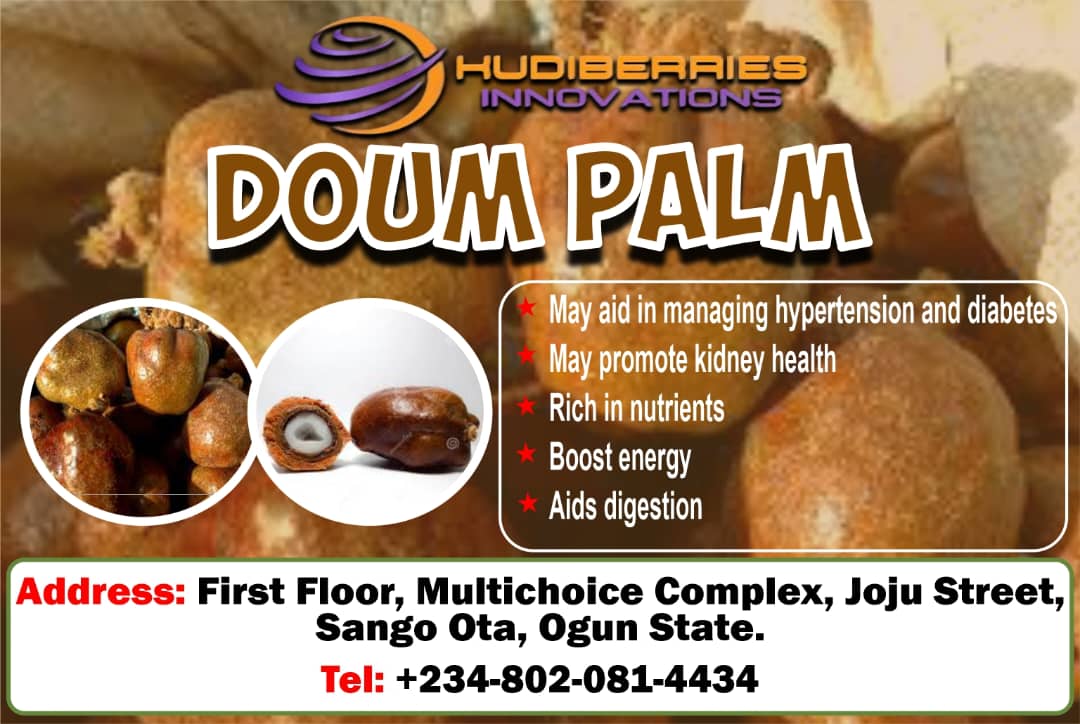KudiBerries Doum Palm Seeds 