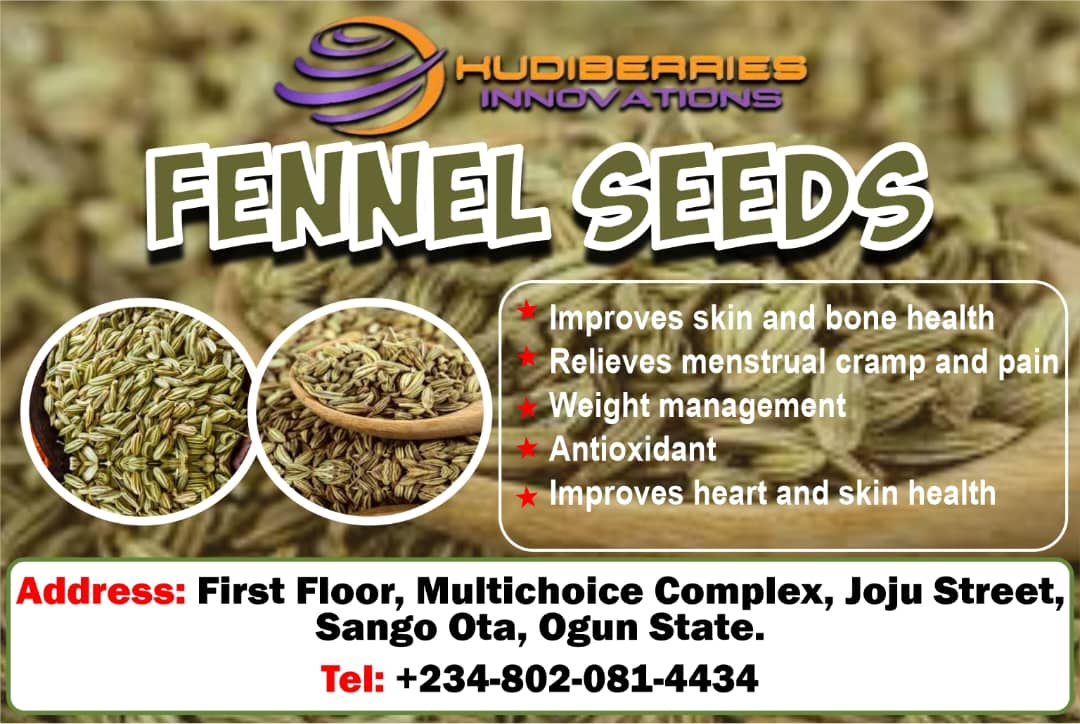 KudiBerries Fennel Seeds and Powder 