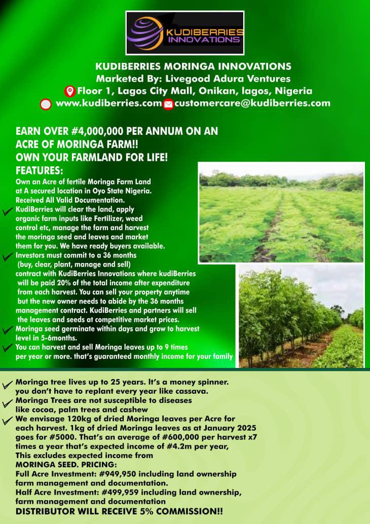 KudiBerries Moringa Farm For Sale 1 Acre.