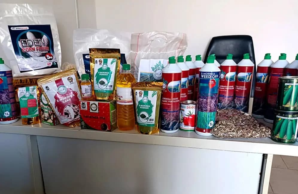 Moringa Based Insecticides 