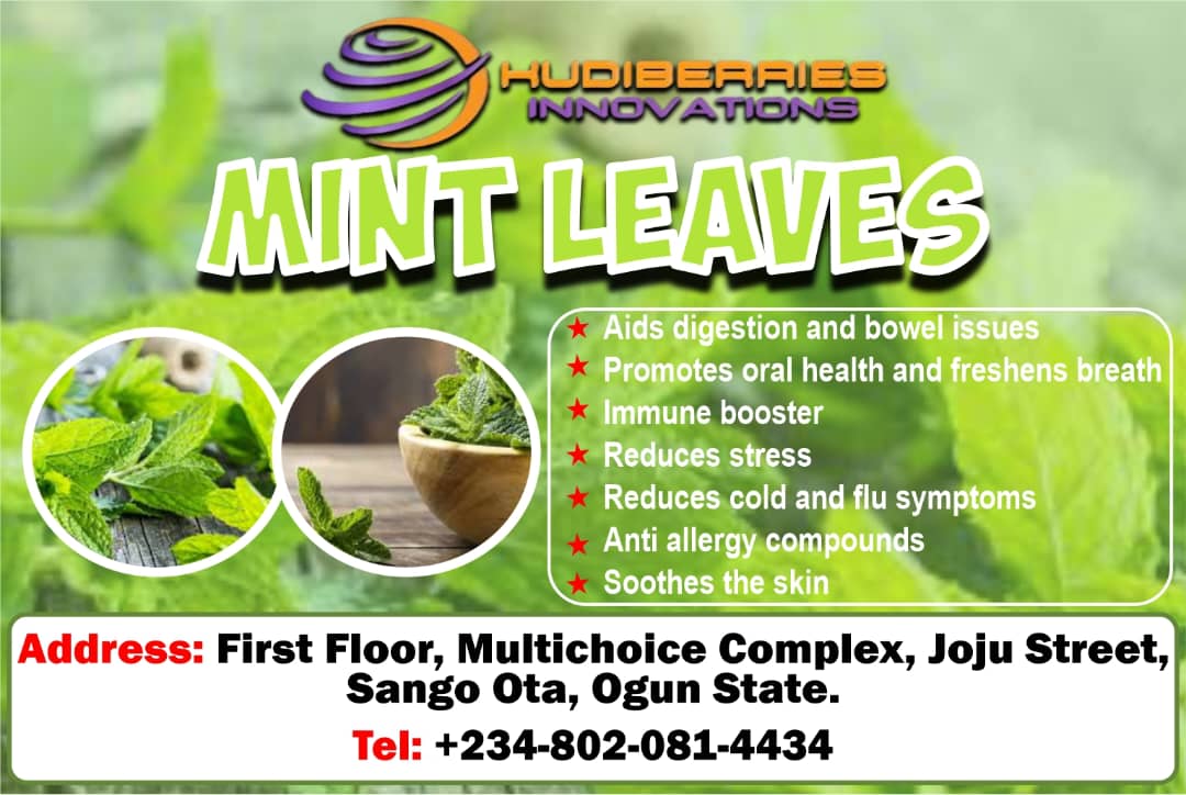 KudiBerries Mint Leaves 