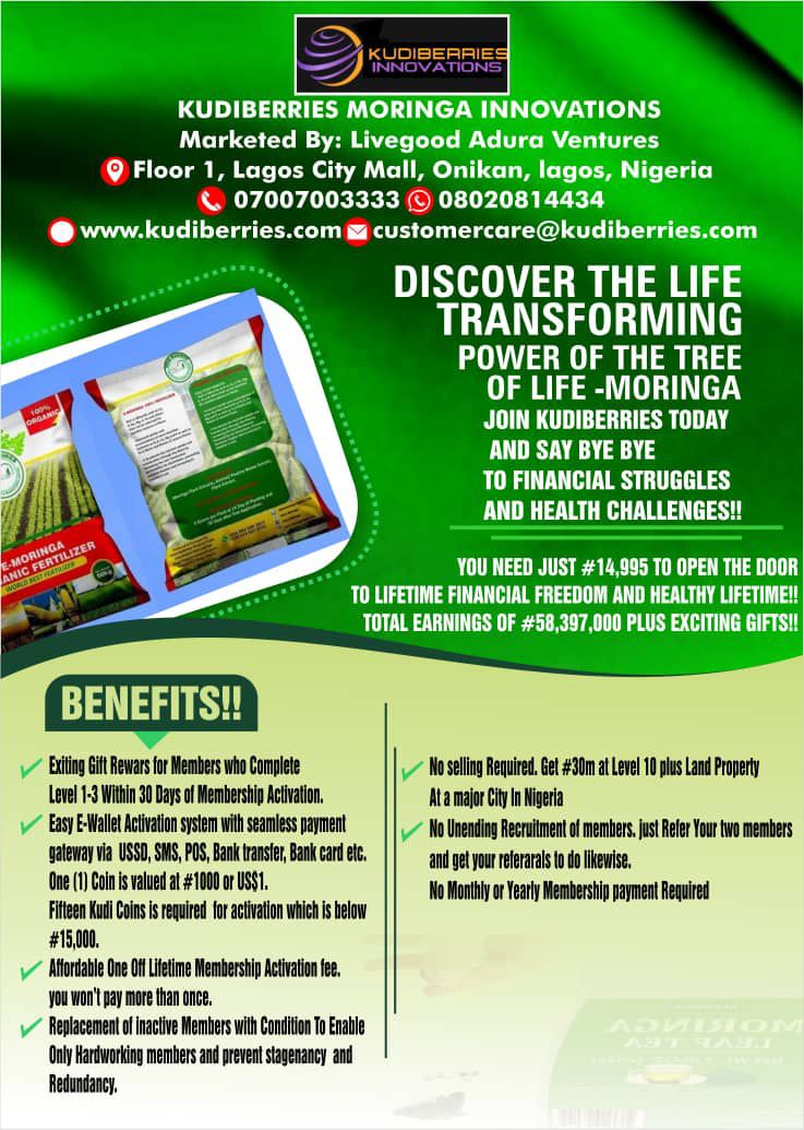 KudiBerries State Ambassadors Wanted Nationwide.